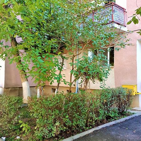 Caserom Studio Satu Mare Exterior photo