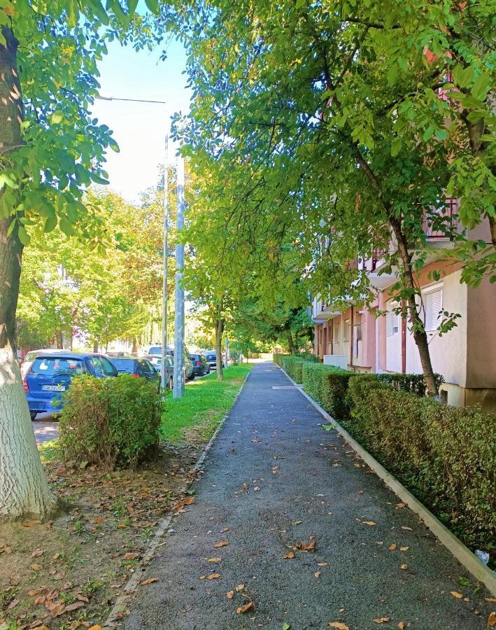 Caserom Studio Satu Mare Exterior photo